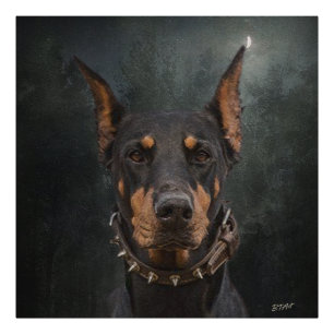 Foto Doberman Pinscher