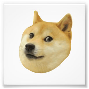 Foto Doge muito wow muito cão tal Shiba Shibe Inu