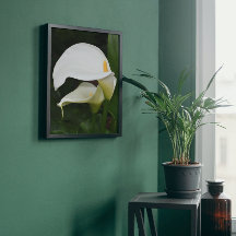 Dois Lírios Calla Brancos Floral