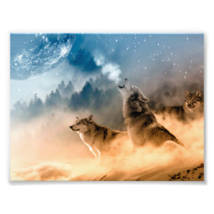 Foto Dois lobos uivam na lua de cheio na floresta