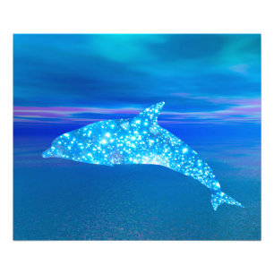 Foto Dolphin Star
