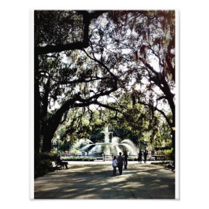 Foto Domingo no parque de Forsyth, savana