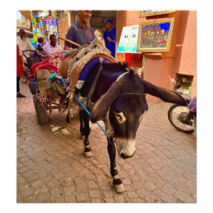 Foto Donkey & Cart in the Medina - Marraquexe, Marrocos