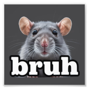 Foto Dono de Rato Elegante Meme Bruh Amante de Rato de 