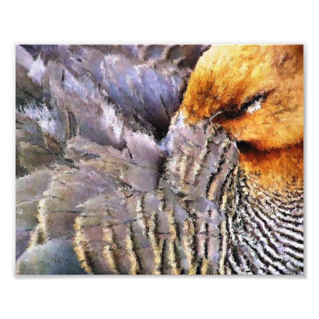 FOTO DORMIR DUCK (Frente)