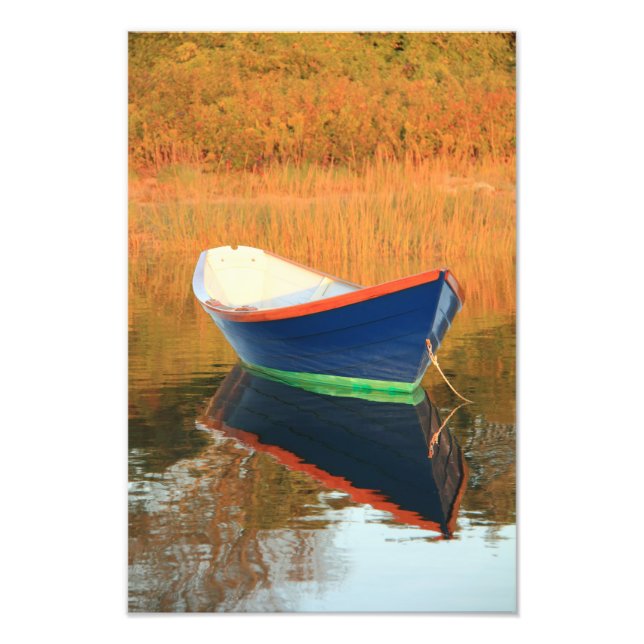 Foto Dory Azul (Frente)