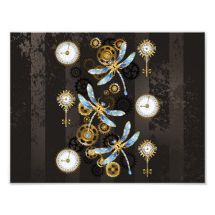 Foto Dragões-do-galho-do-mar