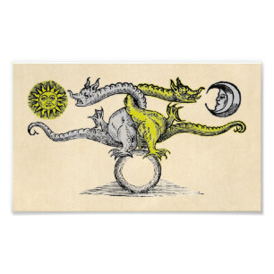 Foto Dragões Dourados e Prateados