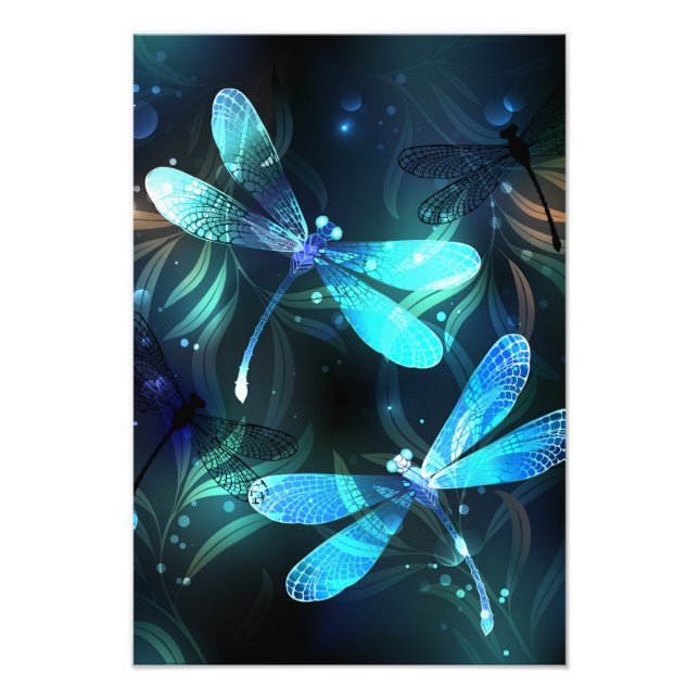 Foto Dragonflies de lago (Frente)