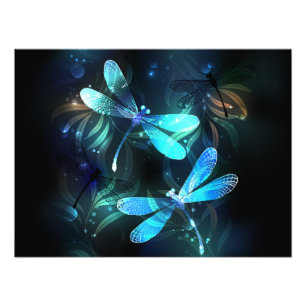 Foto Dragonflies de lago