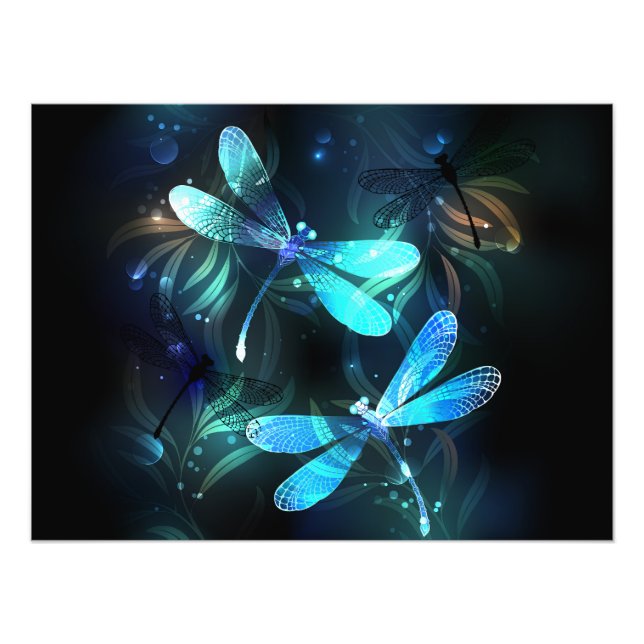 Foto Dragonflies de lago (Frente)