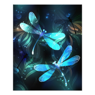 Foto Dragonflies de lago