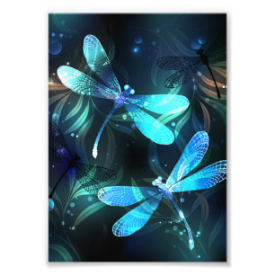 Foto Dragonflies de lago