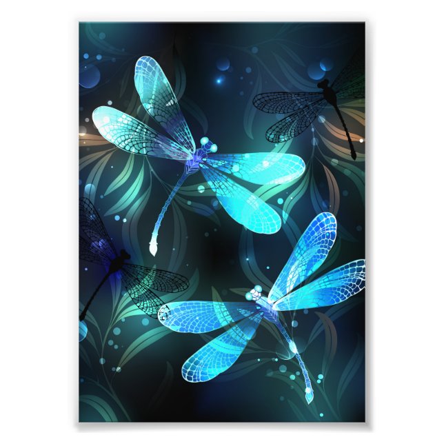 Foto Dragonflies de lago (Frente)