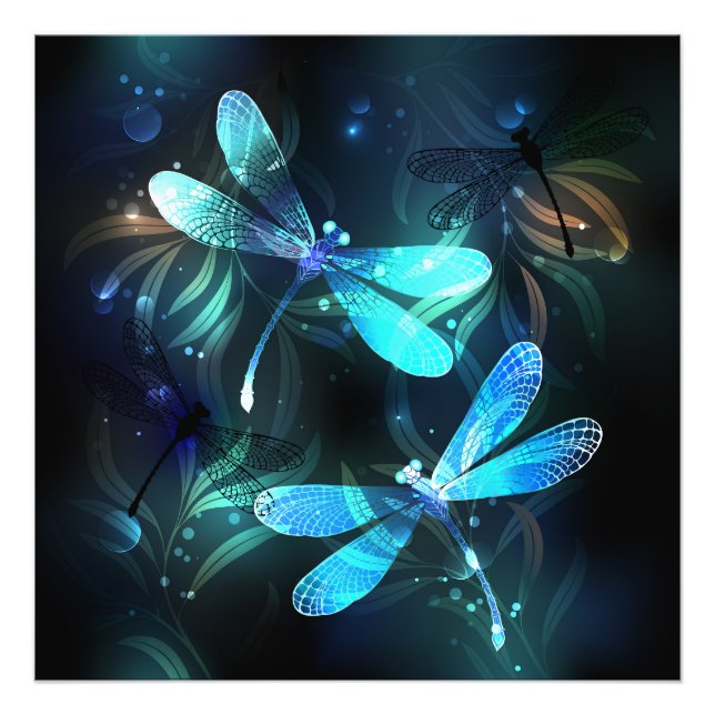 Foto Dragonflies de lago (Frente)