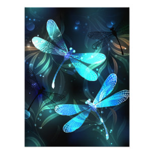 Foto Dragonflies de lago