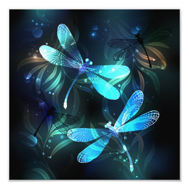 Foto Dragonflies de lago (Frente)