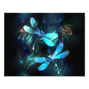 Foto Dragonflies de lago