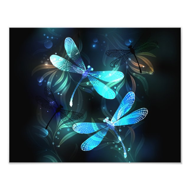 Foto Dragonflies de lago (Frente)