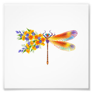 Foto Dragonfly Amarelo