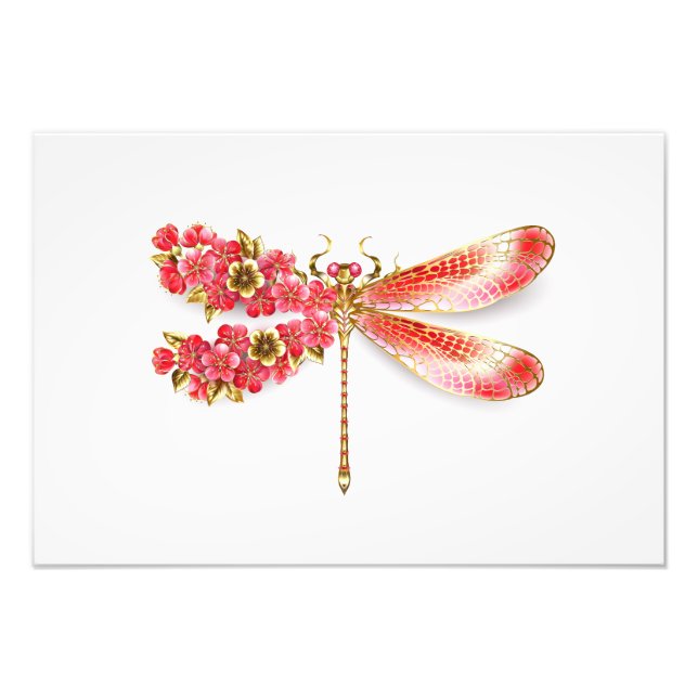 Foto Dragonfly com joalheria sakura (Frente)