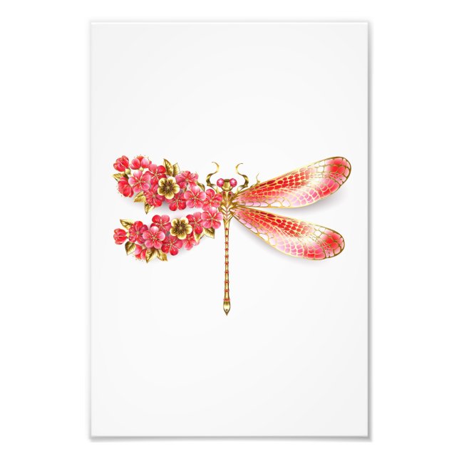 Foto Dragonfly com joalheria sakura (Frente)