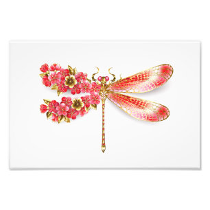 Foto Dragonfly com joalheria sakura