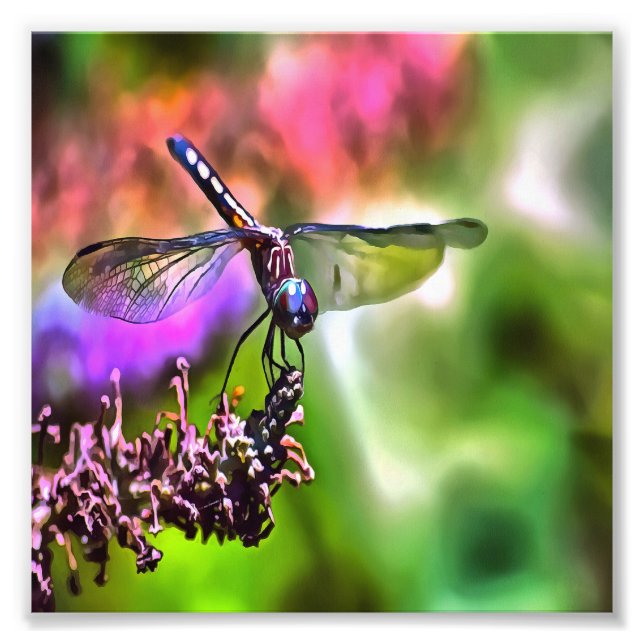 Foto Dragonfly em pintura realística verde e azul (Frente)