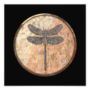 Foto Dragonfly Talking Canyons, Novo México