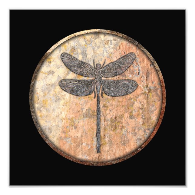 Foto Dragonfly Talking Canyons, Novo México (Frente)