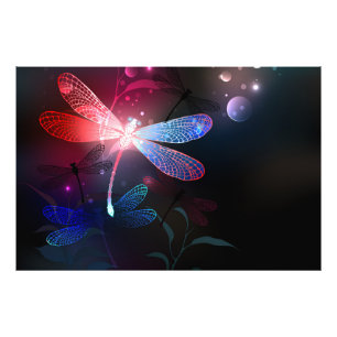 Foto Dragonfly vermelha