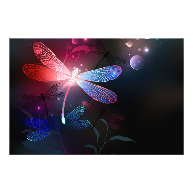 Foto Dragonfly vermelha (Frente)
