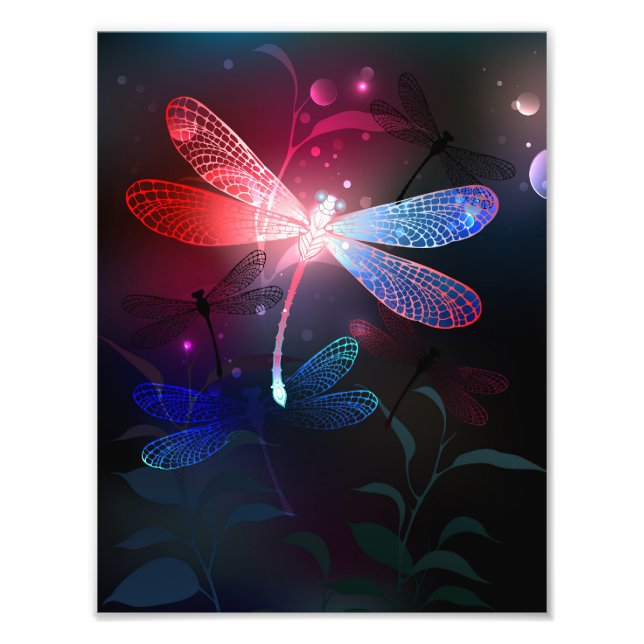 Foto Dragonfly vermelha (Frente)