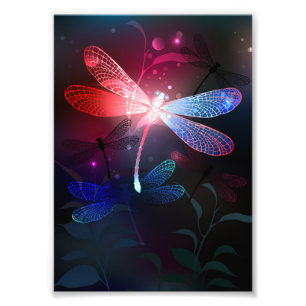 Foto Dragonfly vermelha