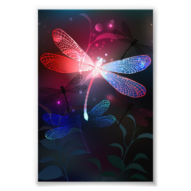 Foto Dragonfly vermelha (Frente)