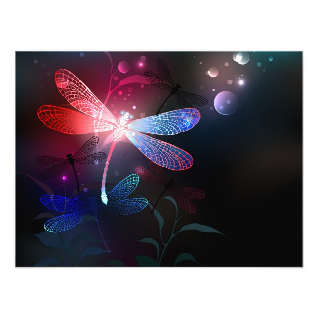 Foto Dragonfly vermelha (Frente)