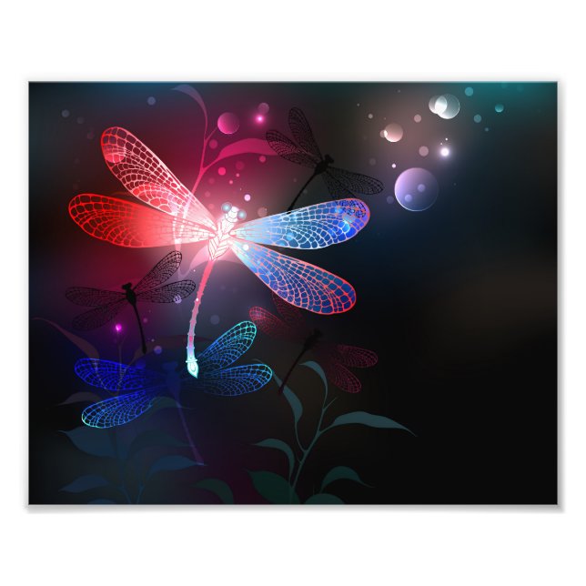 Foto Dragonfly vermelha (Frente)