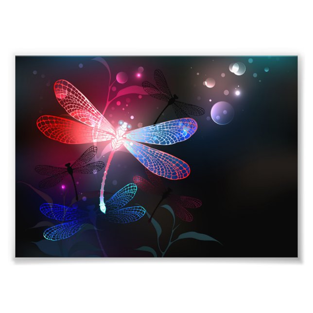 Foto Dragonfly vermelha (Frente)