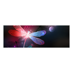 Foto Dragonfly vermelha