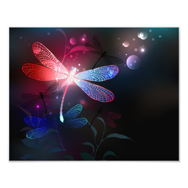Foto Dragonfly vermelha (Frente)