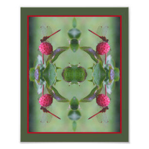 Foto Dragonfly Vermelha Na Fruta Dogwood Abstrato 8x10