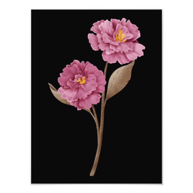 Foto Duas Peônias Rosa (Frente)