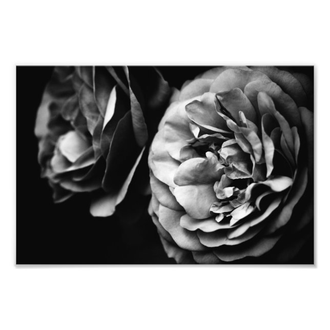 Foto duas rosas (Frente)
