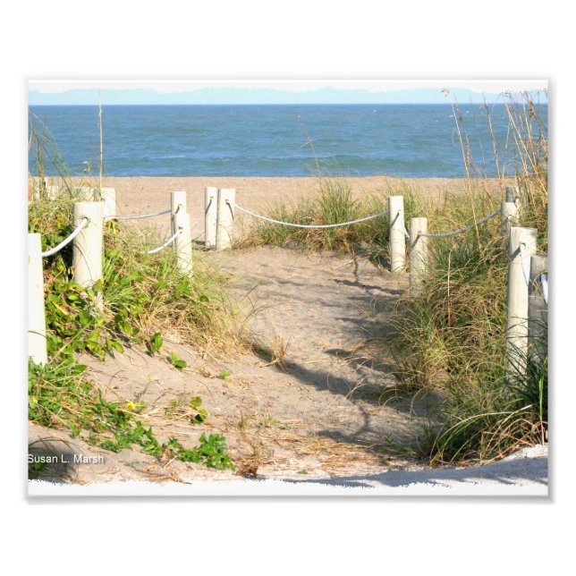 Foto Duna de caminhada da praia salta da Florida Beach  (Frente)