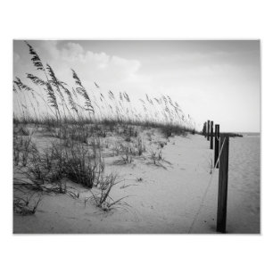 Foto Dunas de areia de Florida