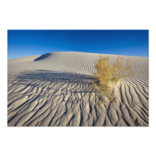 Foto Dunas de areia no Monumento Nacional White Sands e