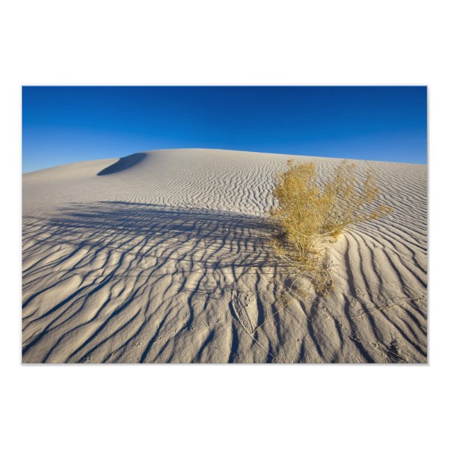 Foto Dunas de areia no Monumento Nacional White Sands e (Frente)