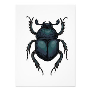 Foto Dung beetle
