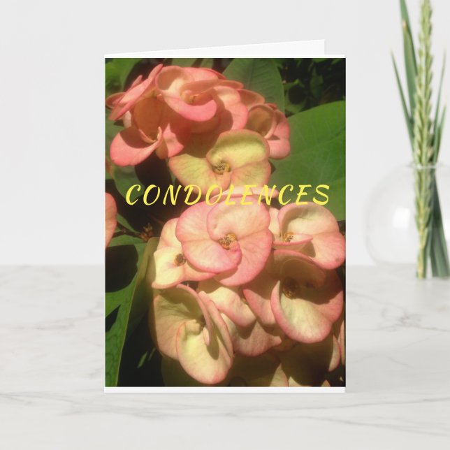 Foto e desenho originais no Cartão de condolências (Frente)