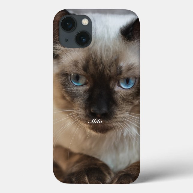 Foto e Nome de Gato Ragdoll Personalizados (Verso)